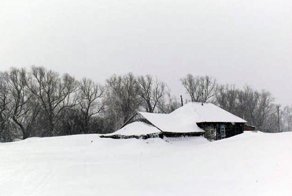 Увидев на пороге замерзающую от холода собаку люди решили ей помочь 