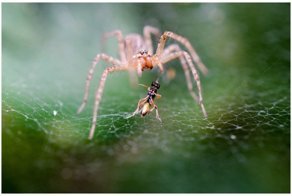 Как мы проучили спесивую продавщицу-хамку