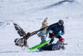 Фотоподборка за 06.03.2018