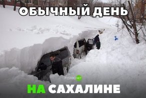 Подборка автомобильных приколов