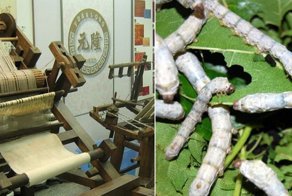 10 фото, после которых не захочется носить натуральный шелк