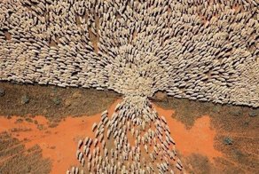 Интересные факты и прикольные картинки