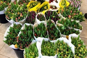 Сколько стоят цветы в Амстердаме?