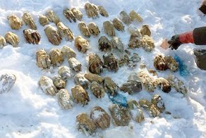 В Хабаровске найдено 54 отрубленных руки