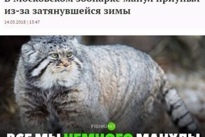 Картинки с надписями для настроения
