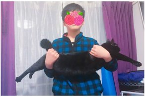 Растяни кота и прославься: набирает обороты новый японский флешмоб