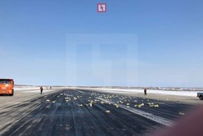Золотой дождь над Якутском