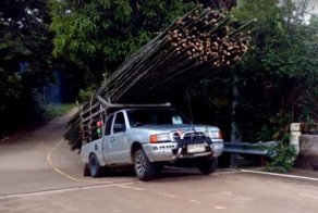 Коварный подъем: в Таиланде пикап потерял весь свой груз