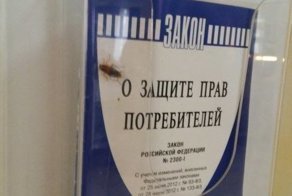 Кульминационный пост о тараканах