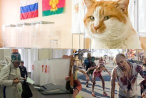 Выборная дичь: как коты голосовали, а человек-дерево избирательный участок "удобрял"