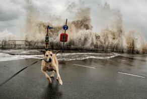 Фотоподборка за 20.03.2018
