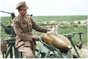 Животные, перед которыми не устоит и солдат