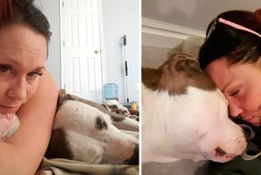 Беременную собаку сдали в приют. эта женщина приютила ее и получила лучшую благодарность на свете