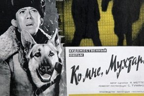 9 интересных фактов о фильме «Ко мне, Мухтар!»