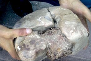 В Косово нашли трансформатор возрастом 20 тысяч лет