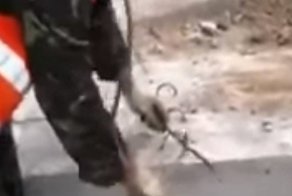 Рафуля, цепляй! Не самый сообразительный рабочий грызет гранит науки