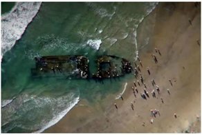 К берегам Калифорнии прибило странный корабль с полчищами крыс на борту