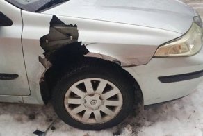 В Беларуси собака невзлюбила котов и французские машины