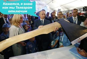 Роскомнадзор открестился: реакция соцсетей на "смерть" Telegram
