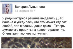 Величайшие мысли и афоризмы народных интернет-мудрецов
