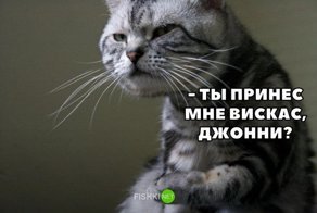 Картинки с надписями для настроения