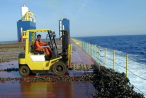 Огромные морские суда