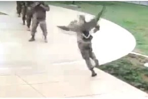 Агрессивный гусь атаковал американского солдата