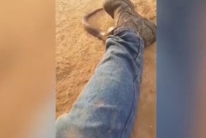 В Австралии смертельно опасная змея спряталась в штанах рыбака