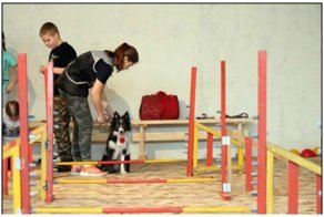 В штат красноярской школы приняли 40 собак