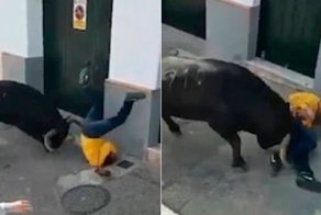 Разъяренный бык забодал участника ежегодного бега с быками в Испании