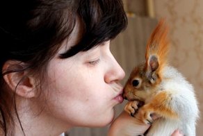 Как выходить и завести себе ручную белочку: опыт сибирской мамы