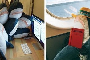 Эти плюшевые акулы из Икеи заполонили интернет. А всё потому что они живут на всю катушку!