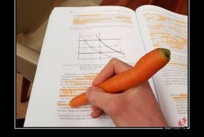 Свежая подборка демотиваторов, которые поднимут вам настроение