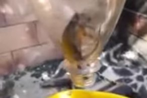 Парню попалась бутылка Coca-Cola с "бонусом"