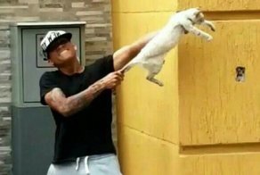 Венесуэльский клуб расторг контракт с двумя футболистами за живодерство