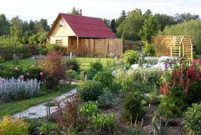 Что посадить полезного на даче, не требующего особого ухода