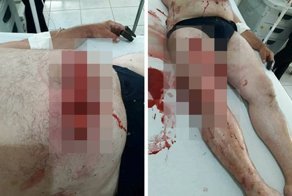 Охота на кабана не заканчивается так, как ожидалось
