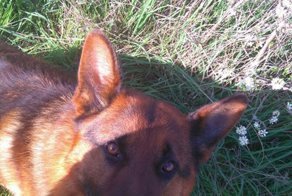 Друзья, приезжайте в Крым, у нас уже тепленько