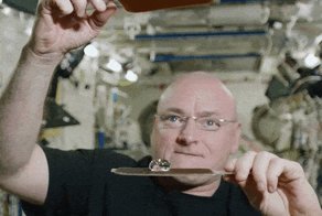 Гифки, которые заставят вас полюбить астрономию