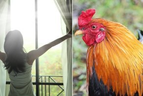 10 проверенных способов, которые не давали людям проспать