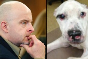 Живодёра, который избил пса так, что его пришлось усыпить, посадили на 10 лет