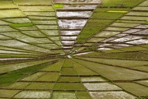 Оптические иллюзии, которые отучат вас верить собственным глазам