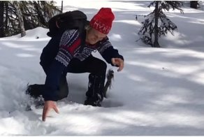 Нарушил покой глухаря