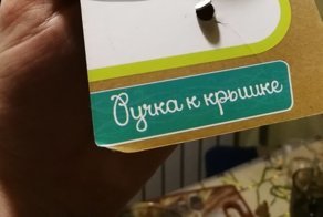 Когда заказчик просит поиграться со шрифтами