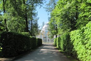 Красота, которая обычно за кадром. Екатерининский парк - Царское село