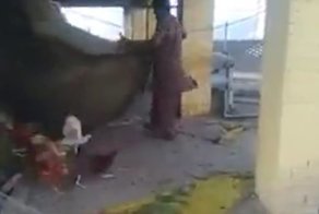 Долгожданная свобода после заточения