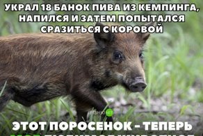 Картинки с надписями для настроения