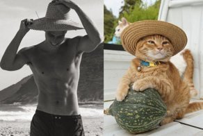20 забавных коллажей, на которых наглядно видно, что у котов и красивых мужчин есть что-то общее