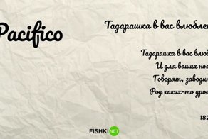 Крутые шрифты. Скачать бесплатно без регистрации и СМС