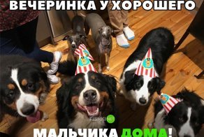 Картинки с надписями для настроения